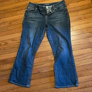Maurices bootcut jeans